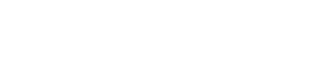Chick & Cheez